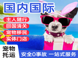 乌拉特中旗海流图航空邮寄国际宠物托运 【国